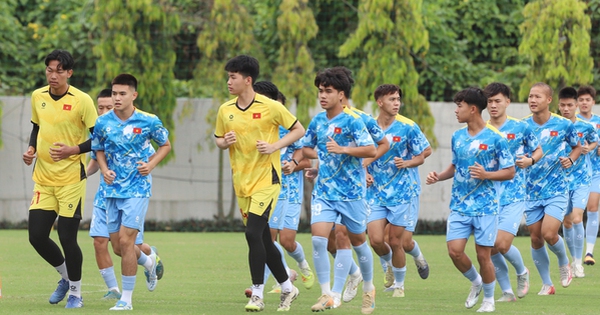 Jin88 cược thể thao