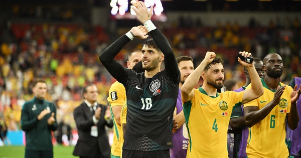 HLV đội tuyển Úc nói hay không thể tả sau địa chấn đánh bại Thổ Nhĩ Kỳ tại World Cup - hình ảnh - 789betgame.com