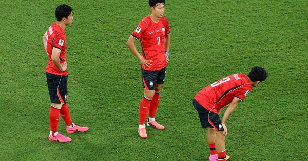 Thưởng tân thủ 789BET – Đặt cược thông minh sau thất bại của Hàn Quốc tại World Cup - hình ảnh - 789betgame.com